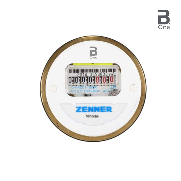 Allmess passende Messkapsel Kaltwasser Q3=2,5 m³/h mit LoRaWAN Funk